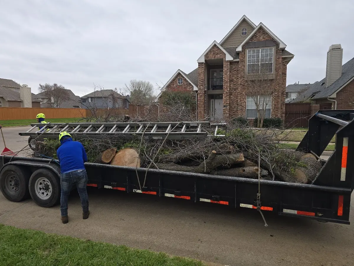 Expert Lot Clearing with proper safety equipment in Delphi
